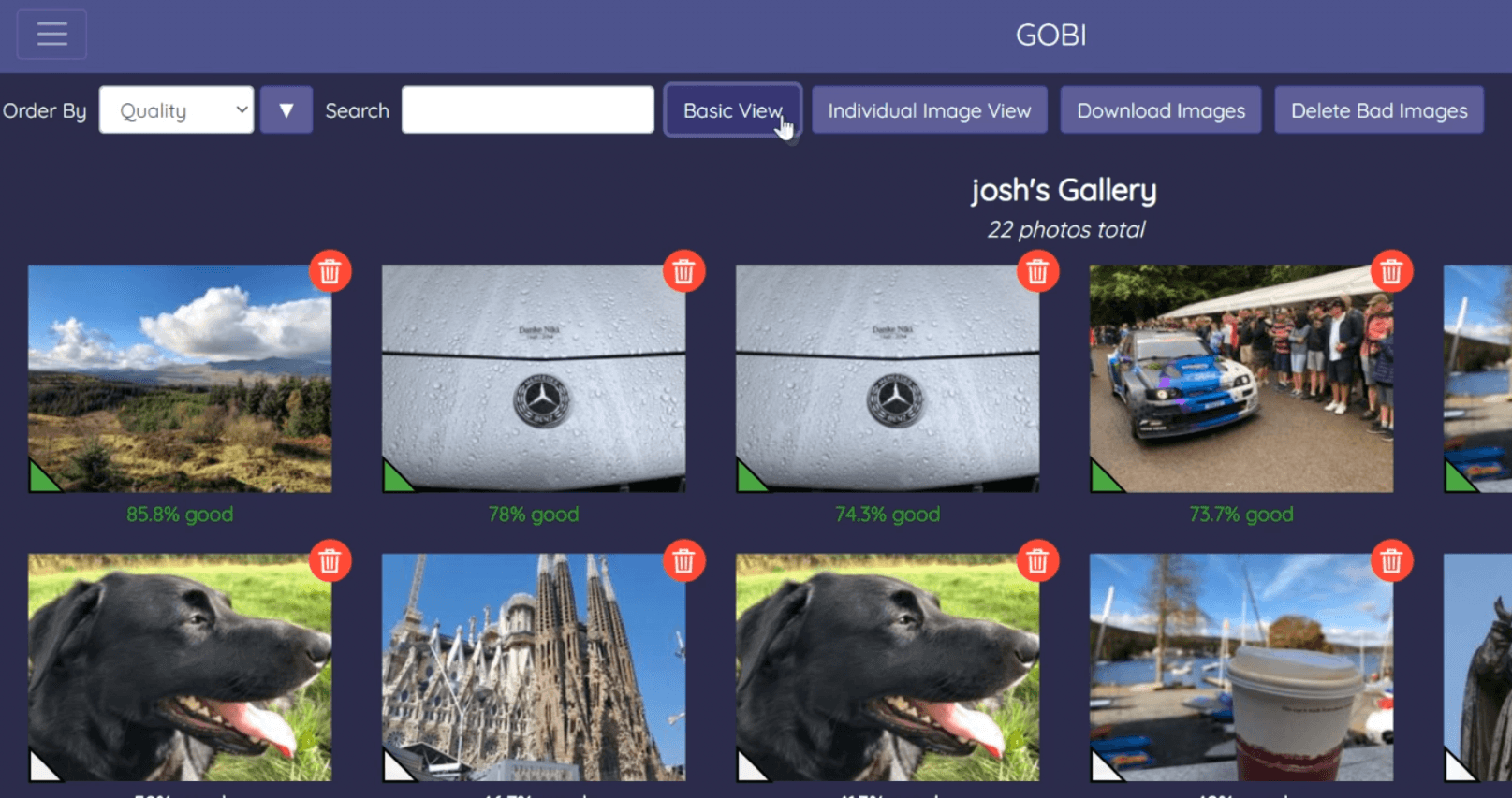 GOBI's interface